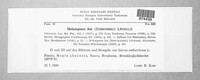 Melampsora lini image